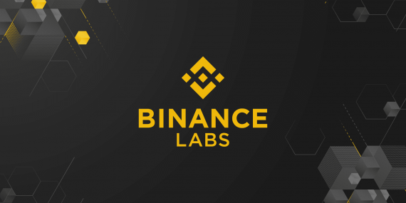 Binance Labs, Yeni Altcoin Memecoin’e Yatırım Yaptı!