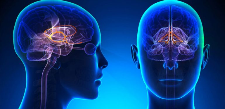 İnsandan İnsana Alzheimer Bulaşabilir: Yeni Kanıt Ortaya Çıktı!