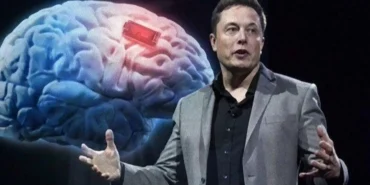 neuralink-cip-nedir