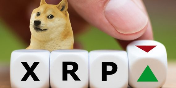 Başarılı Analist, Dogecoin (DOGE) ve XRP Beklentilerini Açıkladı: İşte Hedefleri!
